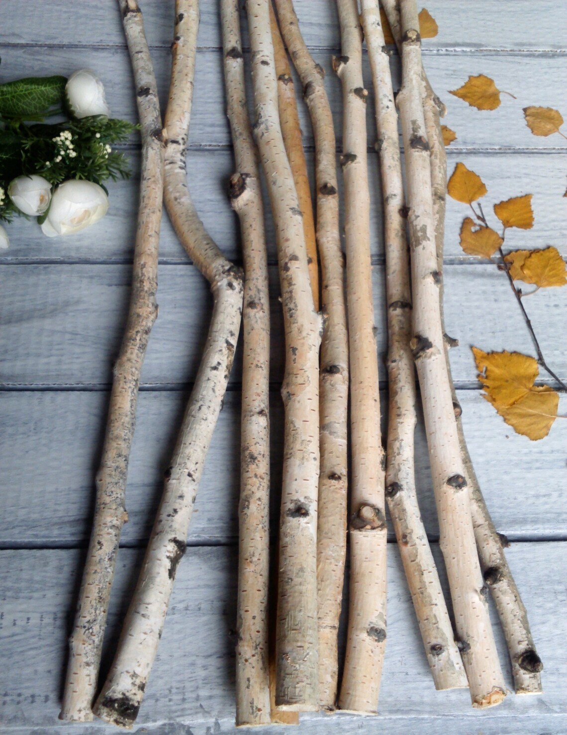 White birch branches natural decor birch stick decorative Etsy