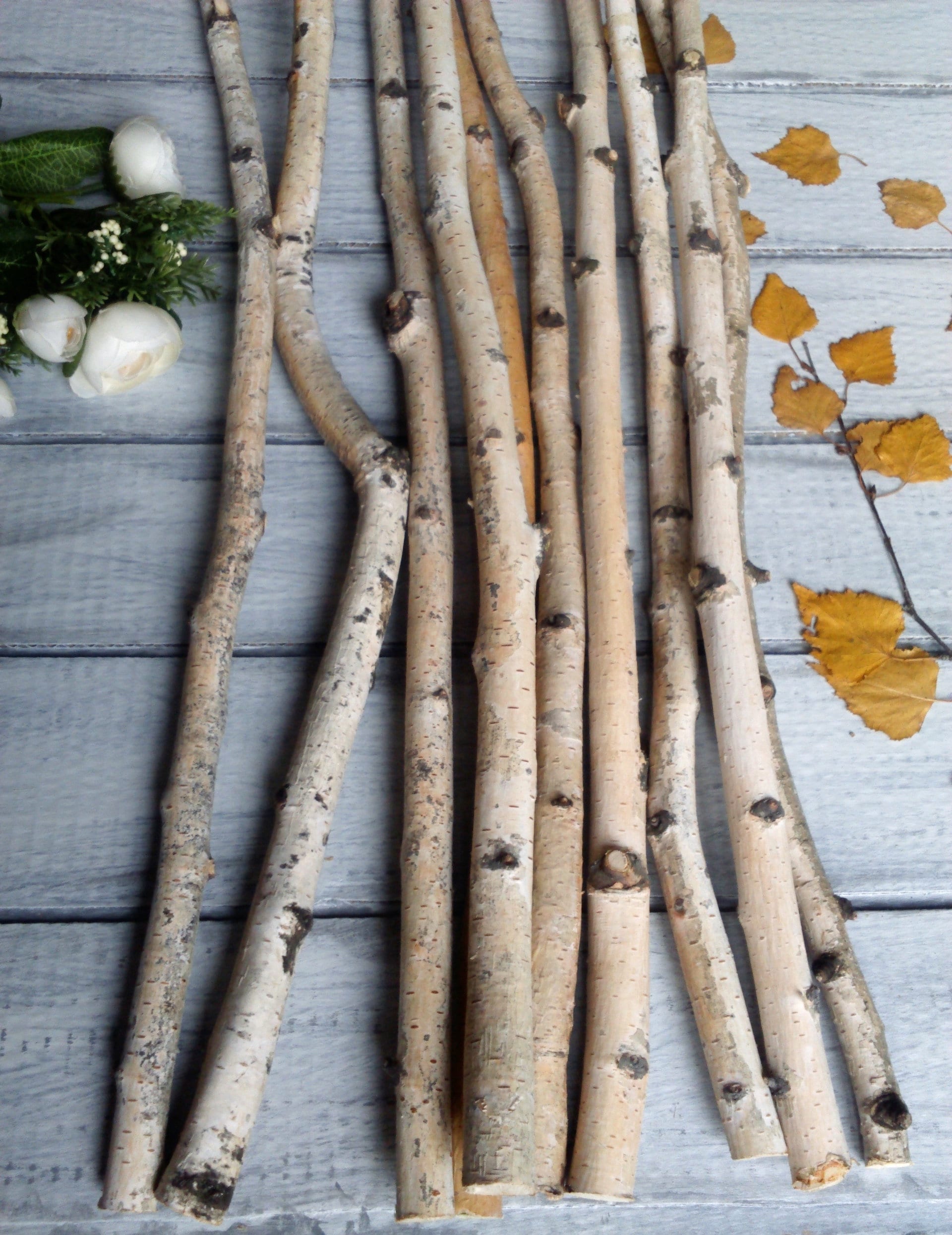 White birch branches natural decor birch stick decorative Etsy