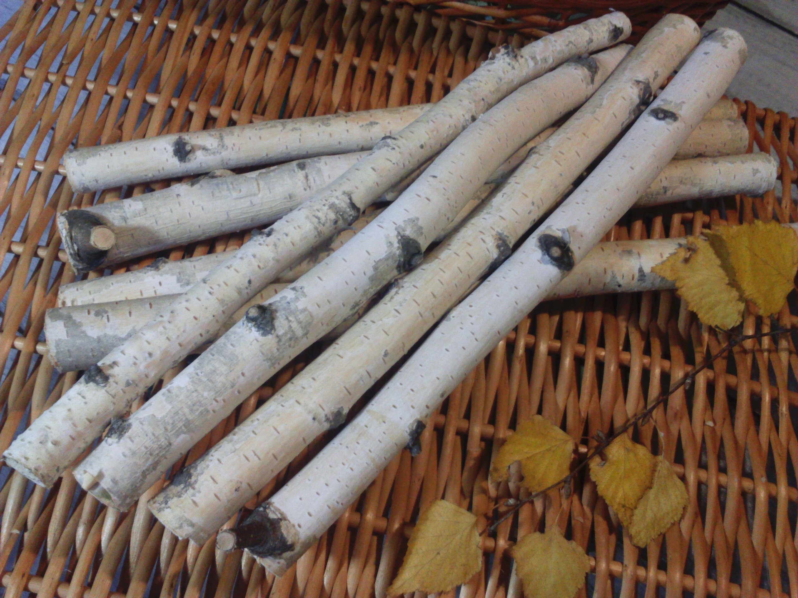 White birch branches. Natural decor. White birch stick. Etsy