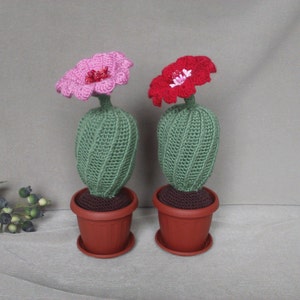 Crochet Cactus in Pot: Handmade Desk Plant, Artificial Succulent