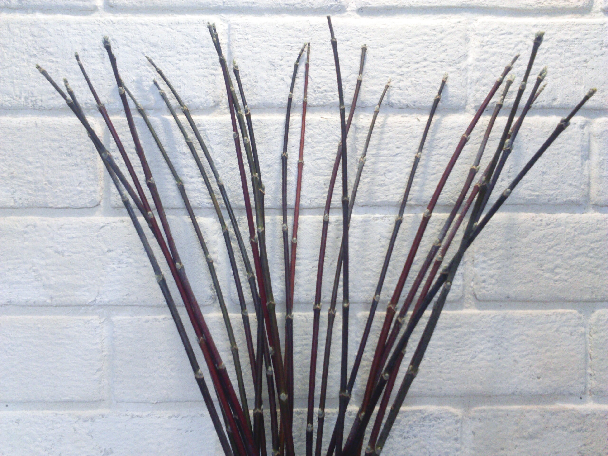 Decorative branches decorative sticks for vases tall vase Etsy