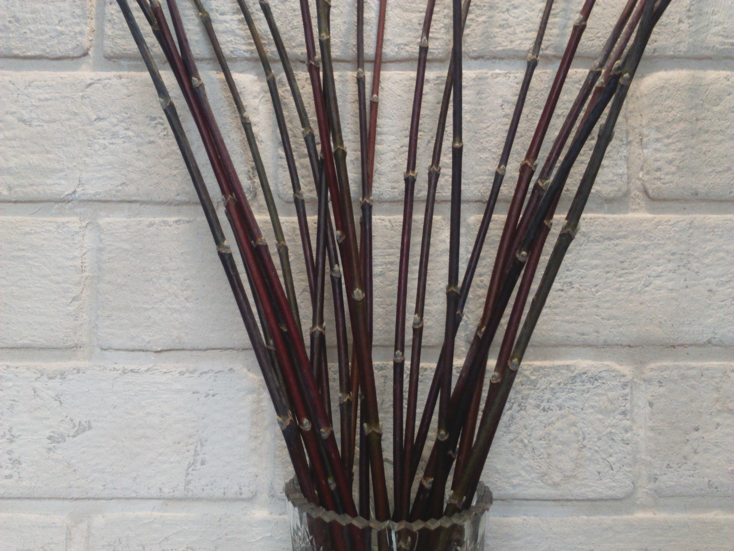 Decorative branches decorative sticks for vases tall vase Etsy