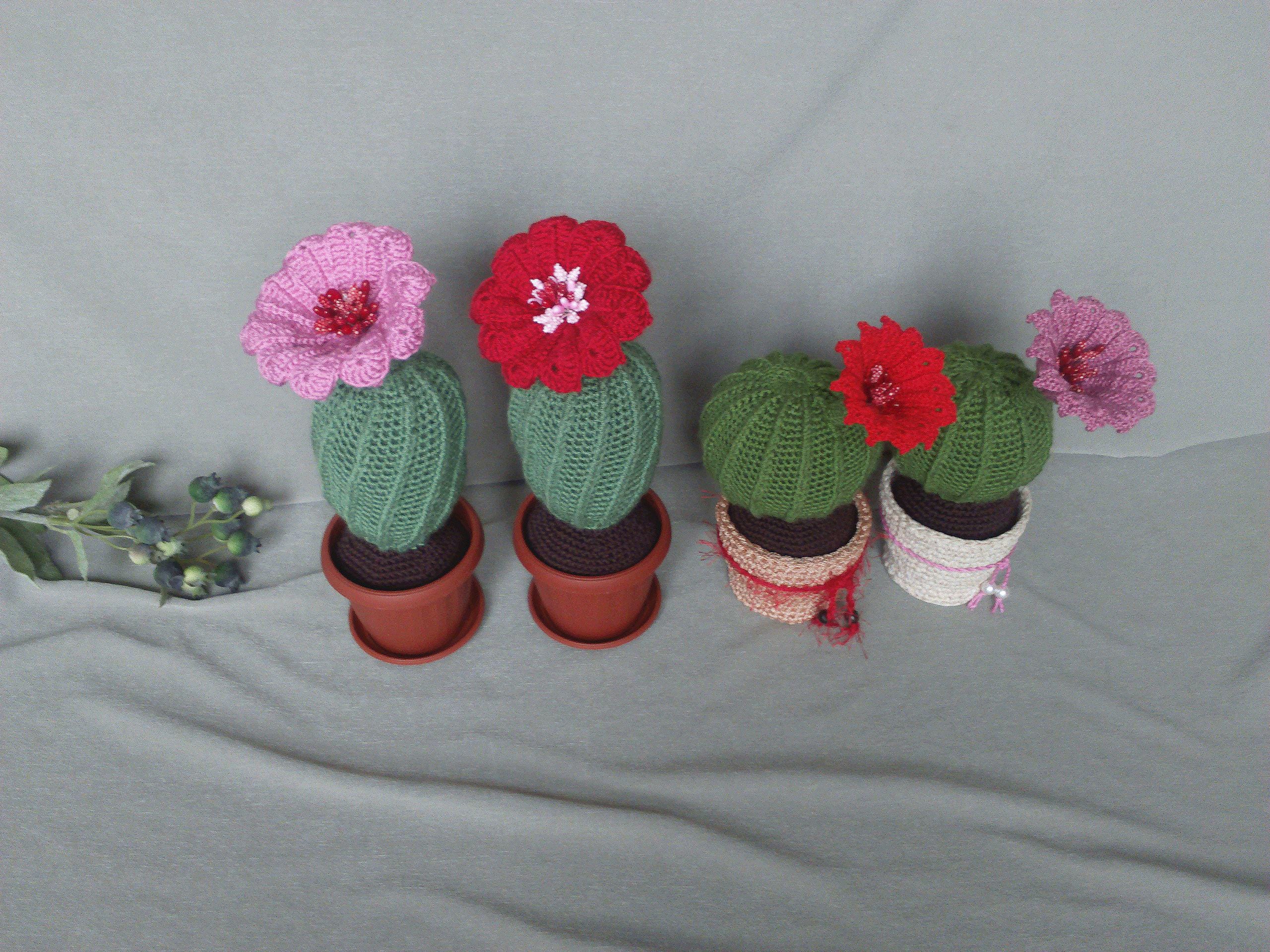 ハンドメイド　あみぐるみ　サボテンの鉢植え あみぐるみ】多肉・サボテン3鉢セット①