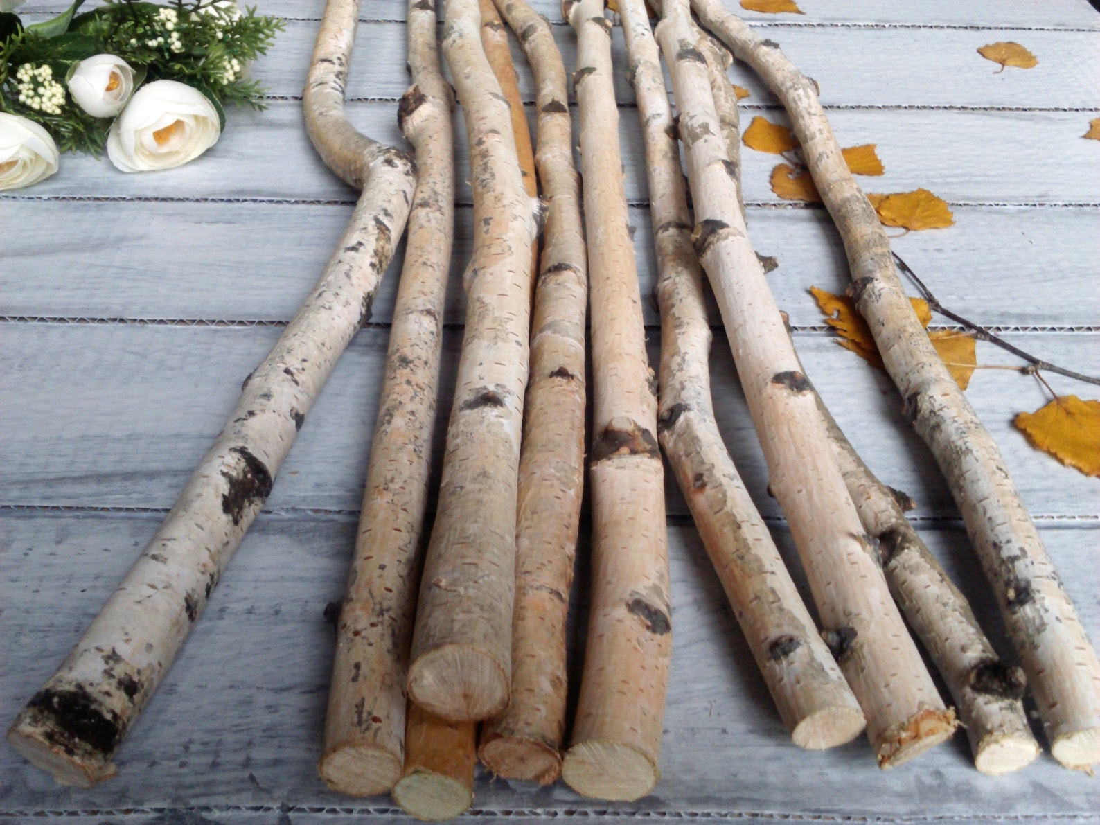White birch branches natural decor birch stick decorative Etsy