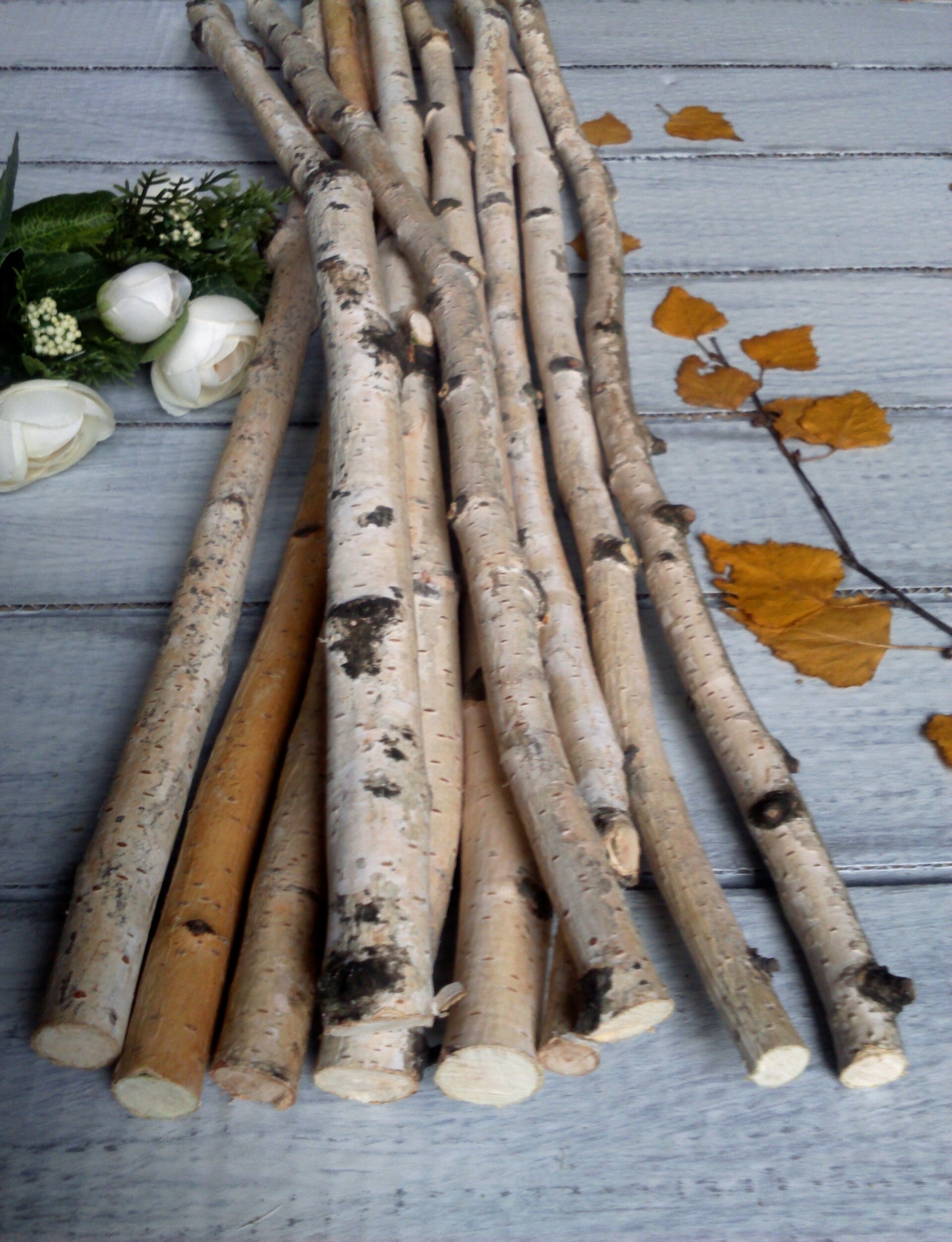 White birch branches natural decor birch stick decorative Etsy