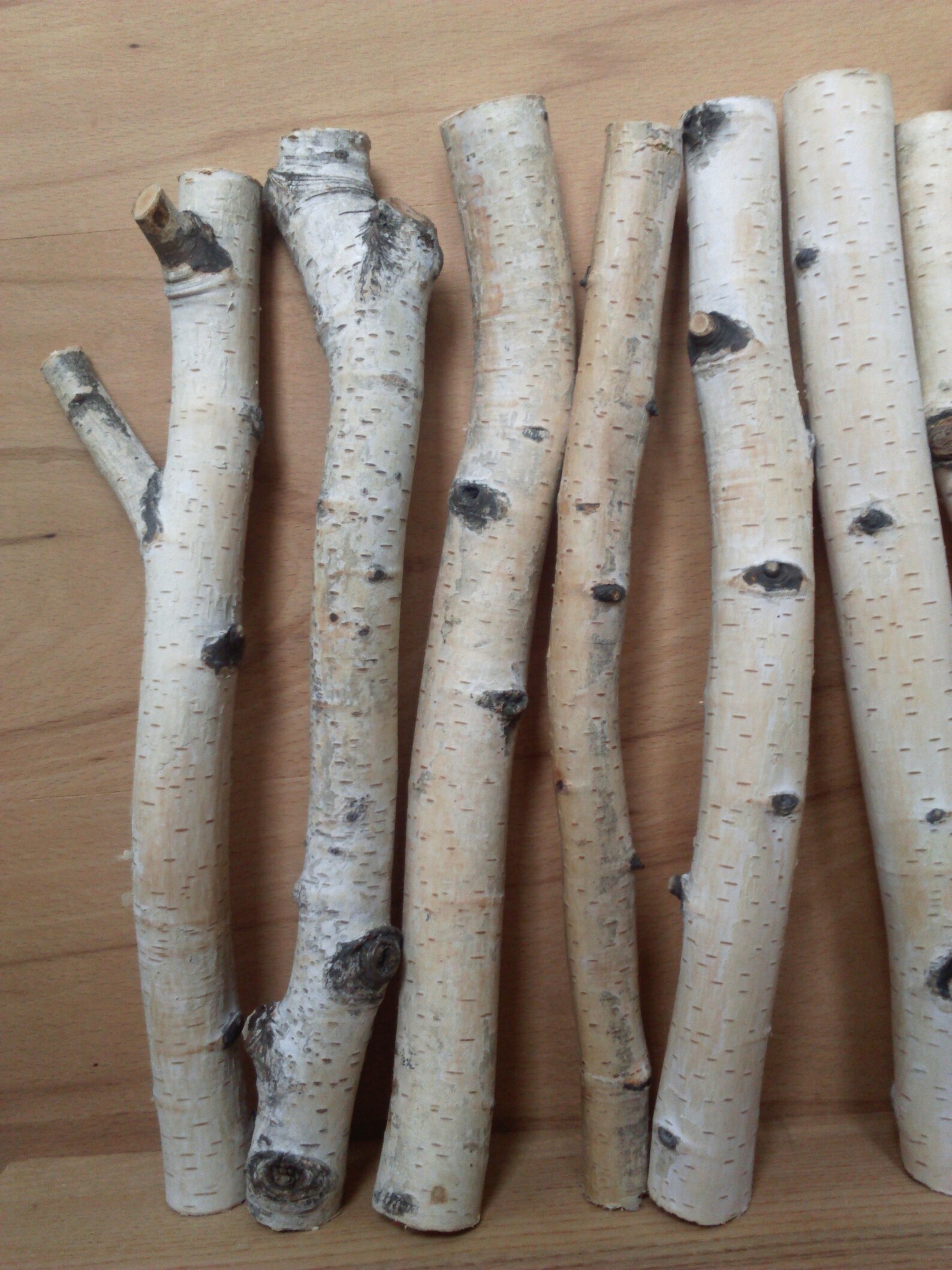 Birch wood sticks white birch branches decorative birch Etsy