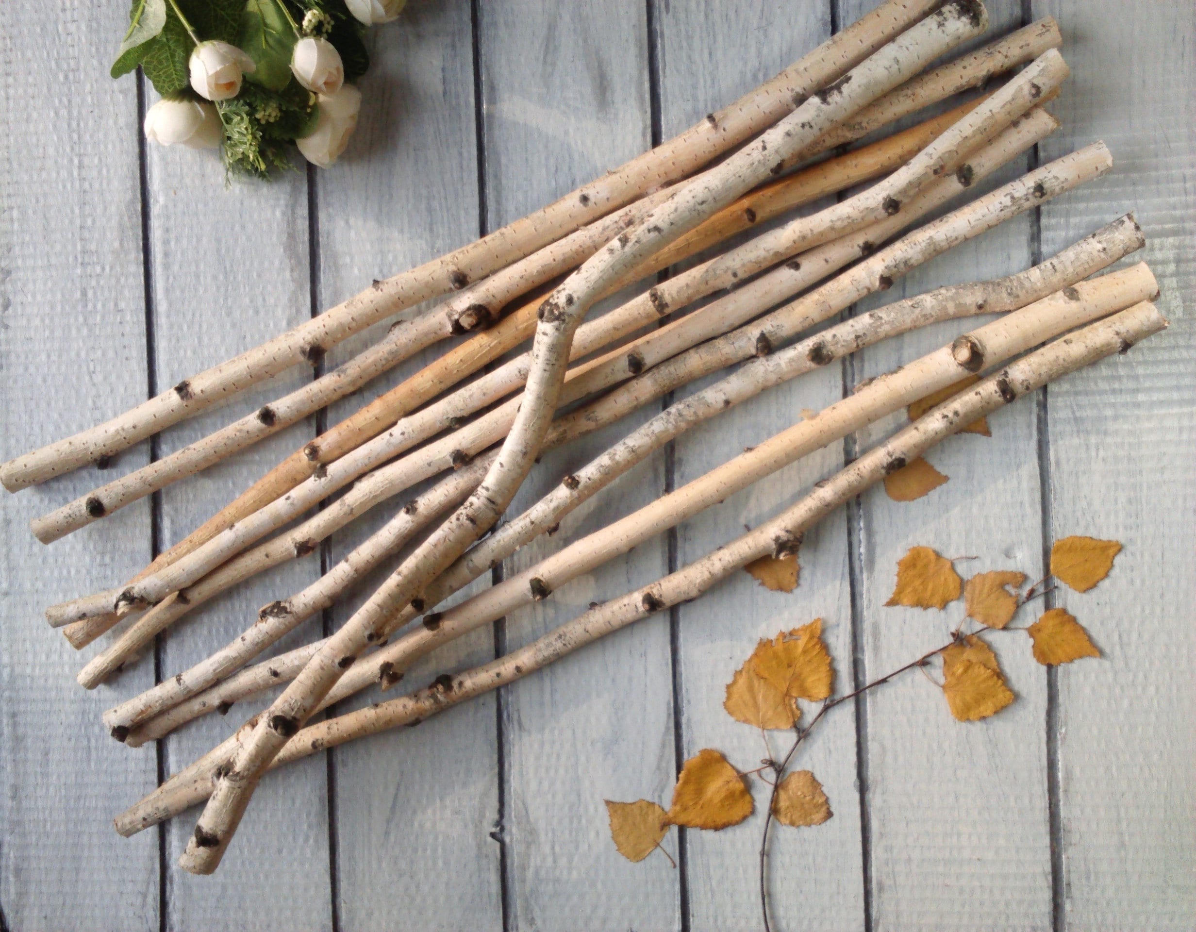 White birch branches natural decor birch stick decorative Etsy