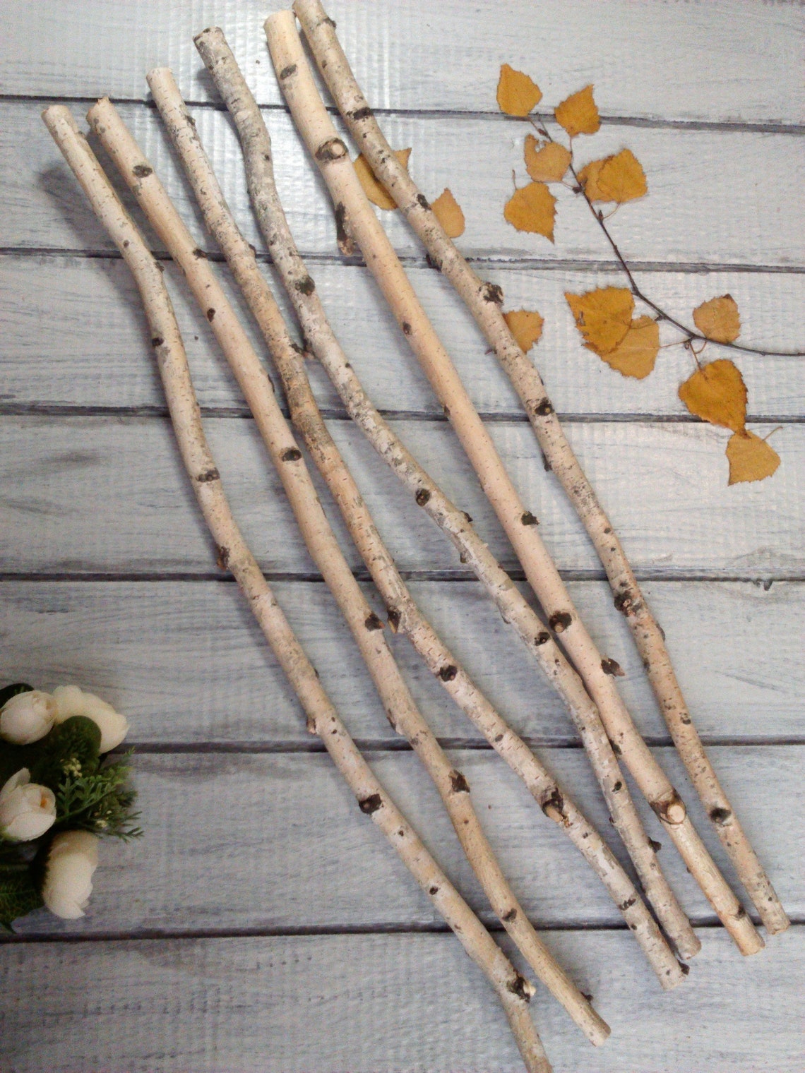 White birch branches natural decor birch stick decorative Etsy