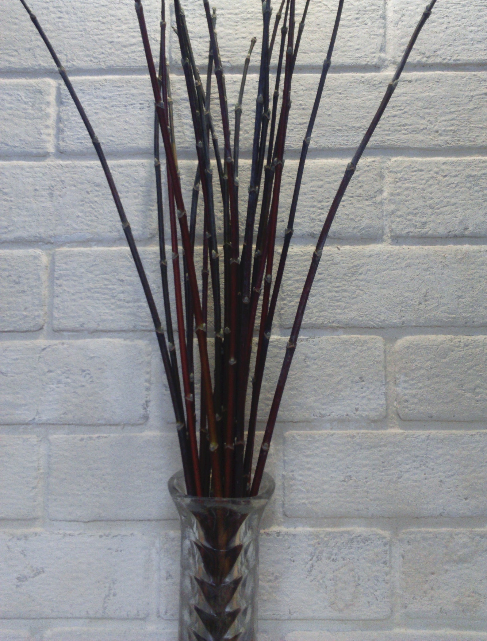 Decorative branches decorative sticks for vases tall vase