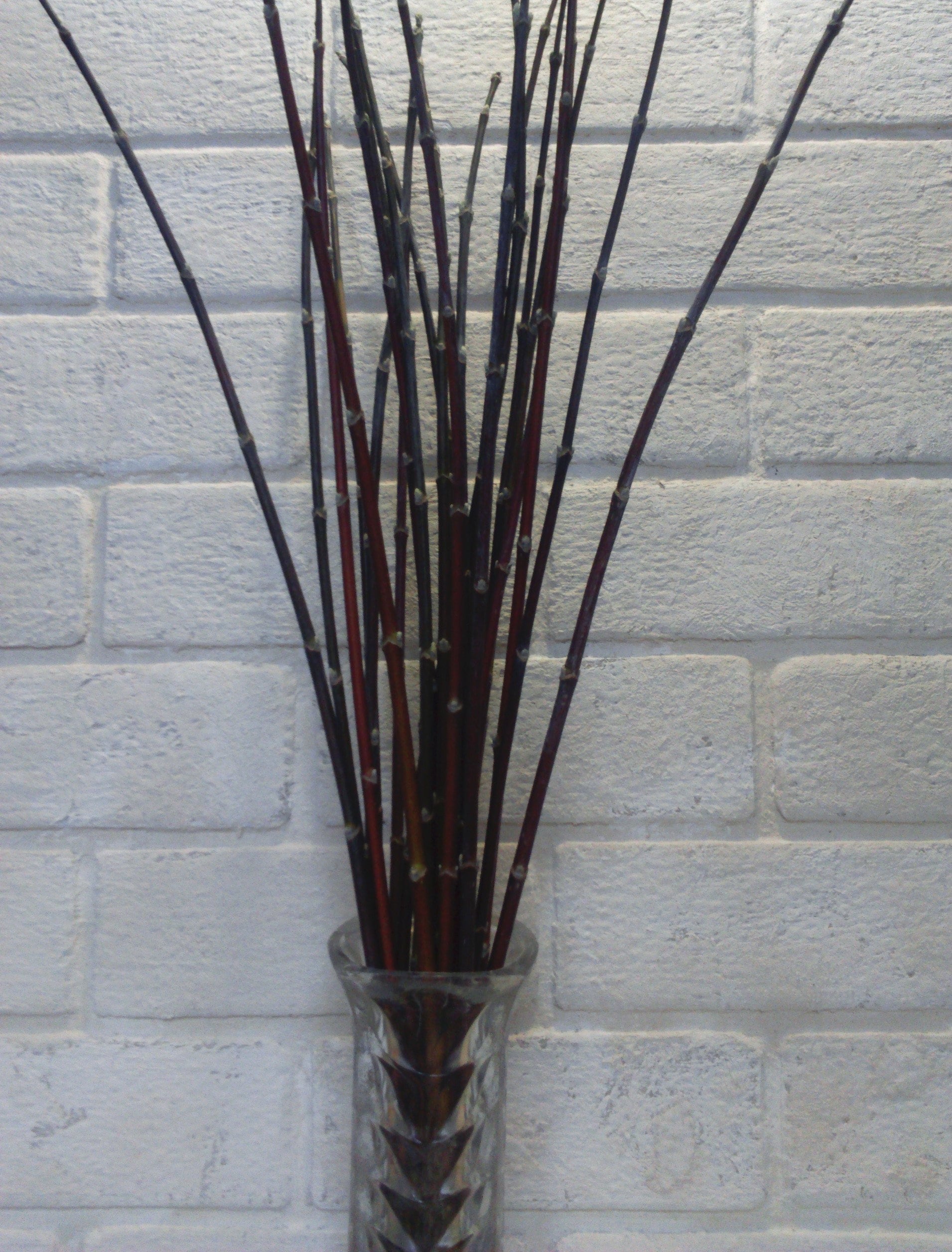 Decorative branches decorative sticks for vases tall vase Etsy