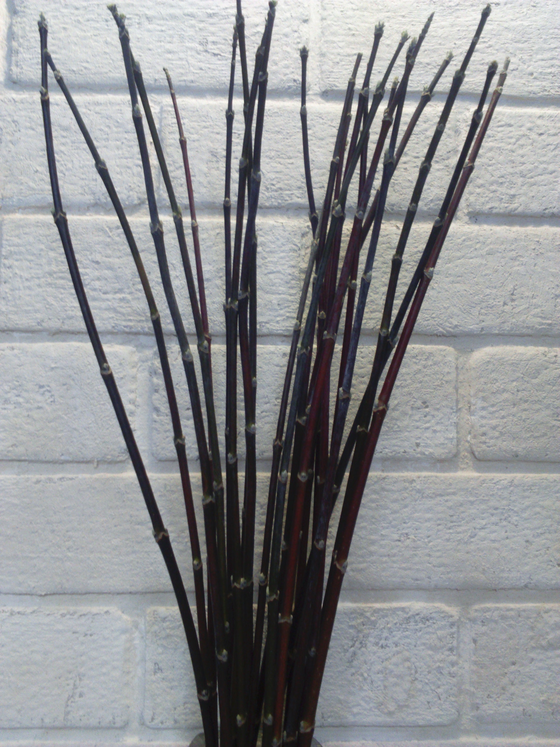 Decorative branches decorative sticks for vases tall vase Etsy