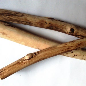 Wood Branch Oak Branch Craft Sticks Wood Stick Wood Craft Supply