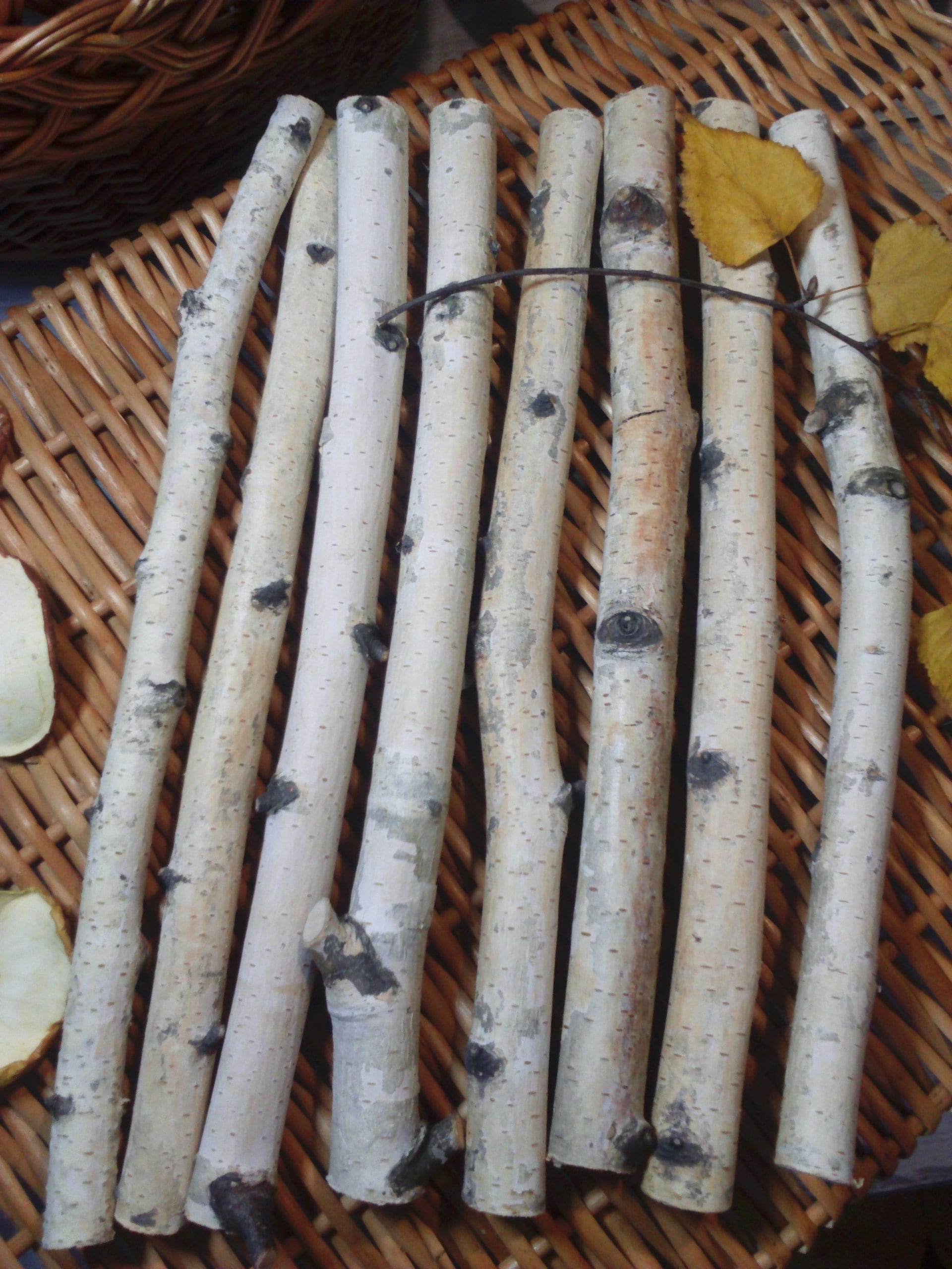 White birch branches. Natural decor. White birch stick. Etsy