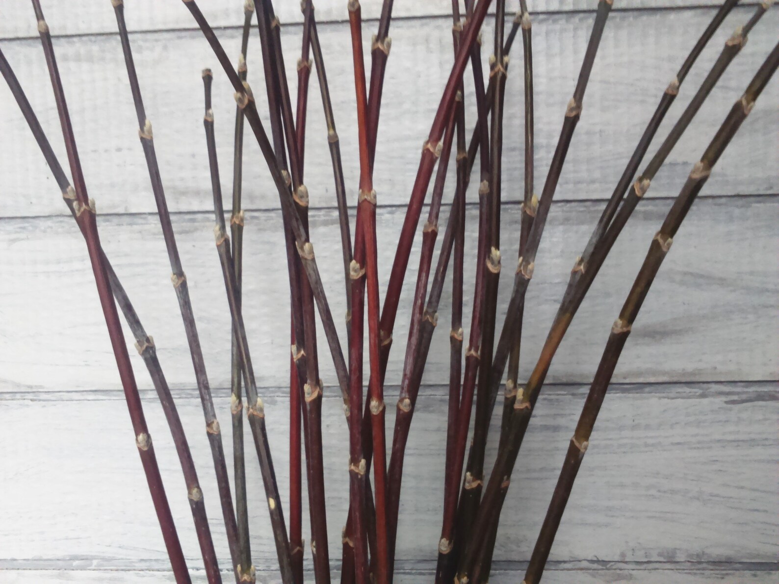 Decorative branches decorative sticks for vases tall vase Etsy