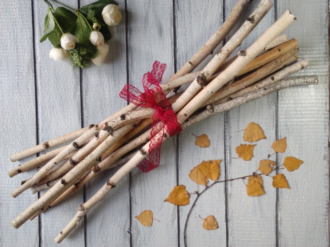 White birch branches natural decor birch stick decorative Etsy