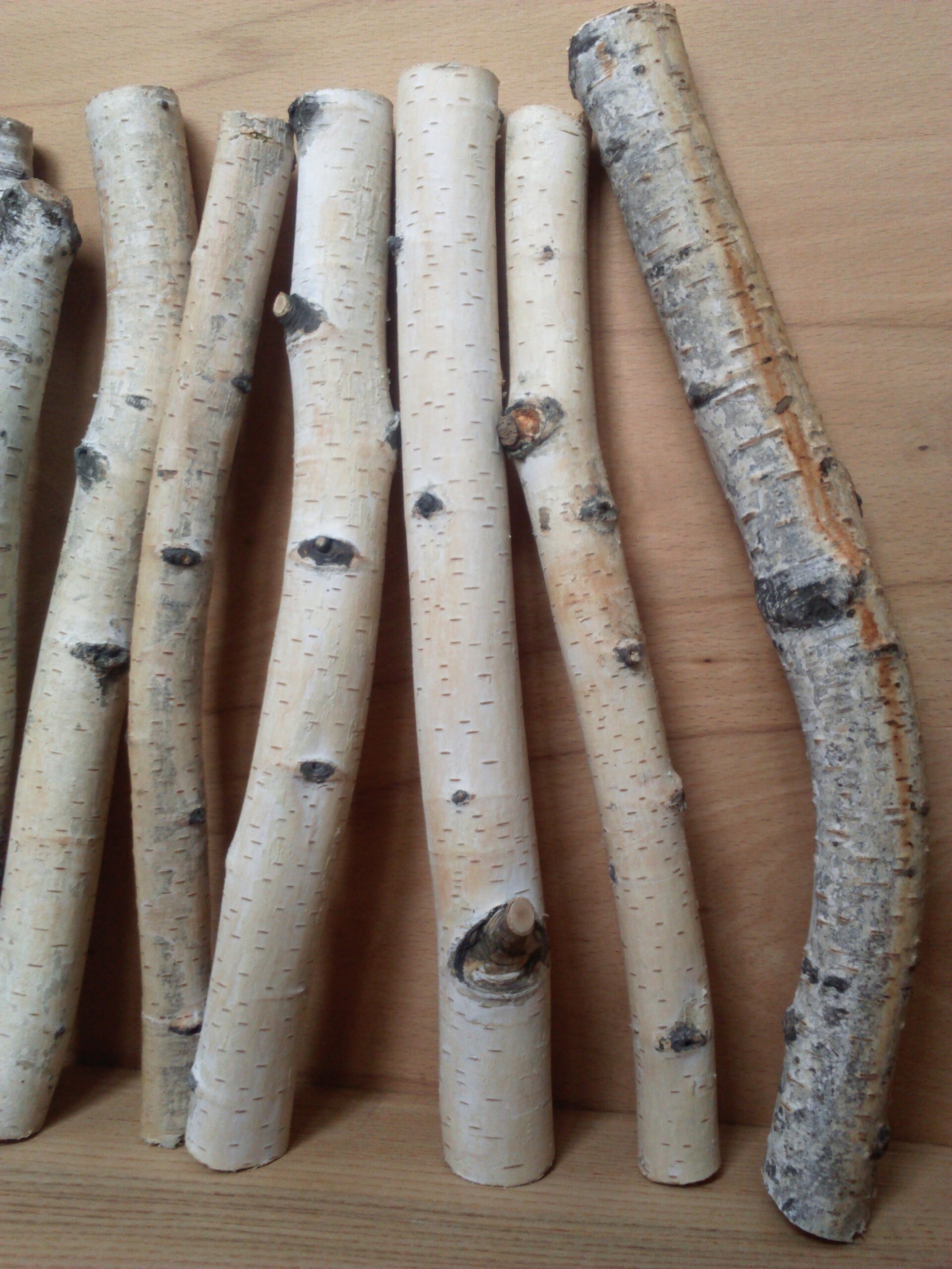 Birch wood sticks white birch branches decorative birch Etsy