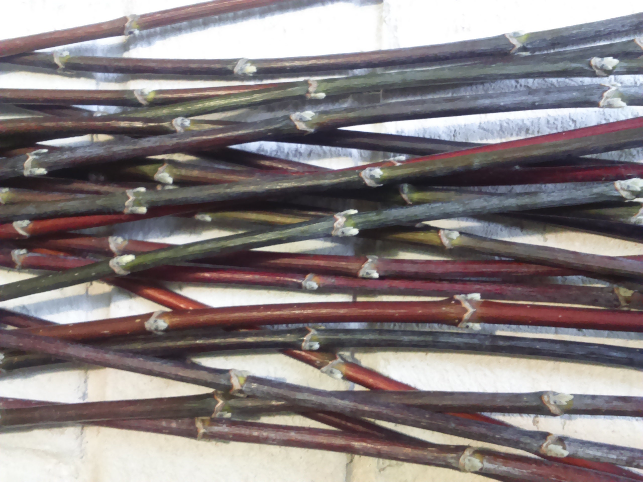 Decorative branches decorative sticks for vases tall vase Etsy