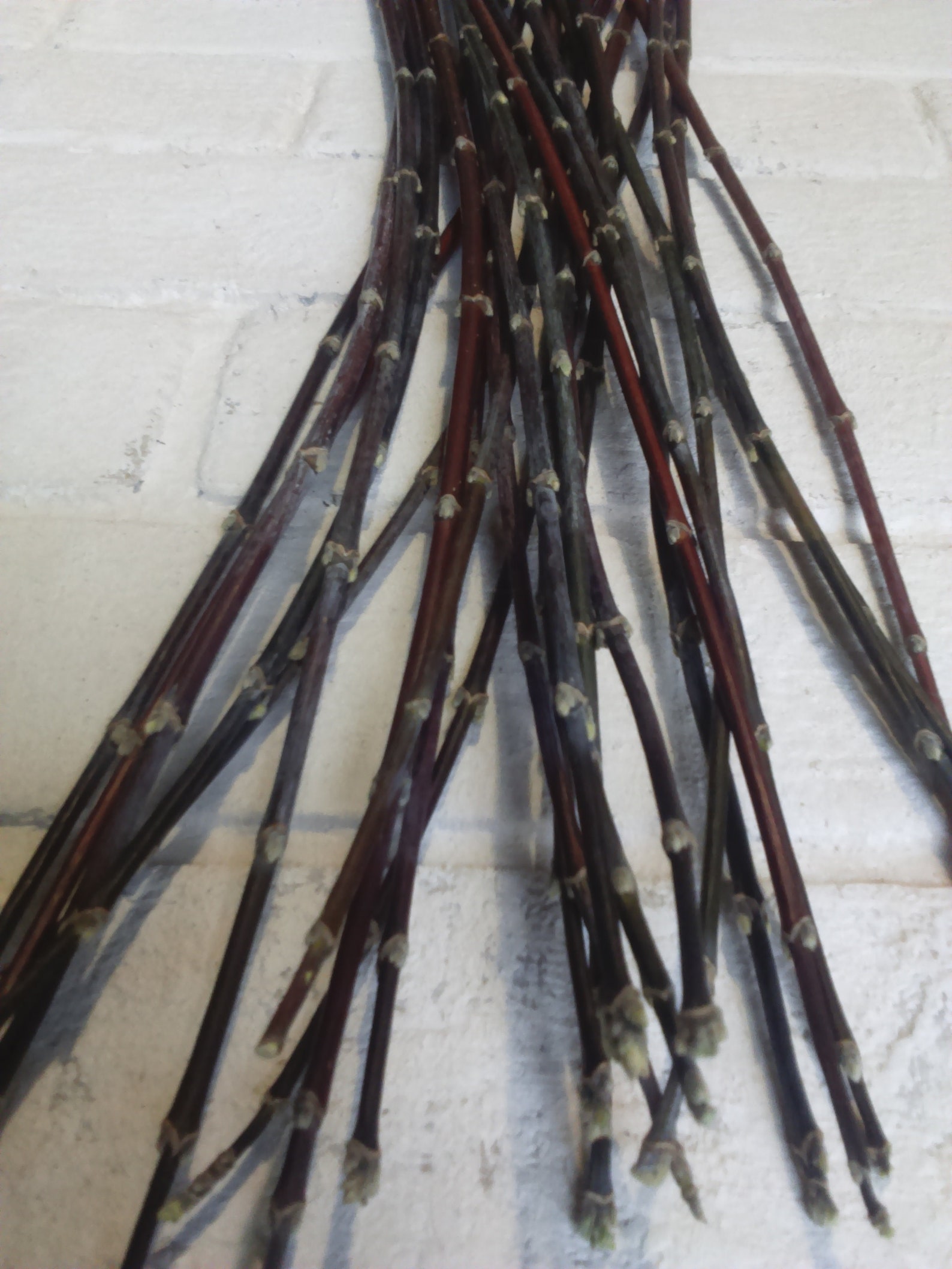 Decorative branches decorative sticks for vases tall vase Etsy