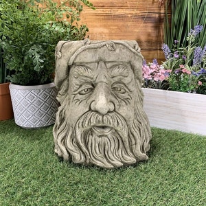 May include: A grey stone planter shaped like a bearded man's face. The planter has a weathered look and is sitting on a green grassy surface.