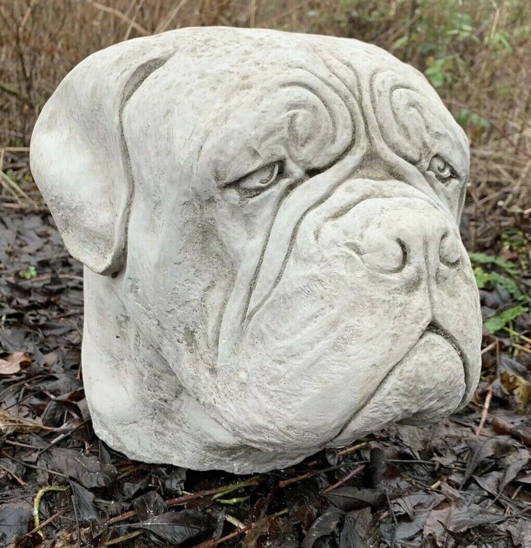 Stone Garden Large Dog Dogue De Bordeaux Mastiff Boxer Head Statue Cap Ornament Etsy Canada