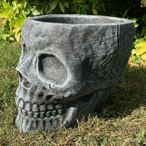 May include: A grey concrete skull planter with a distressed finish. The skull has a detailed face with a wide mouth and teeth. The planter is sitting on a bed of green grass.