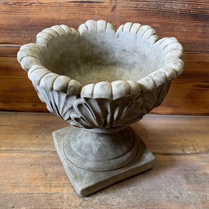 May include: A grey concrete planter with a scalloped rim and a pedestal base. The planter has a decorative design of leaves and scrolls.