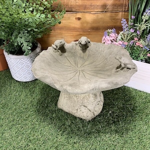 Stone Garden Frog Toad Lilly Bird Bath Statue Ornament