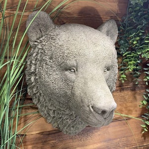 May include: A grey concrete bear head wall sculpture with a realistic texture. The bear's eyes are open and the mouth is closed. The sculpture is mounted on a wooden wall.
