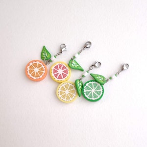 Lemon Orange Lime Grapefruit Charm Set