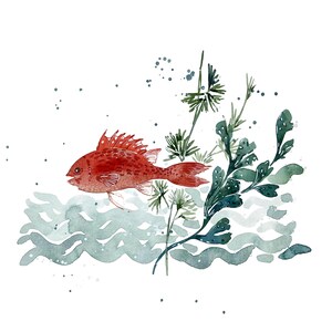 Tirage d'art, Poisson et vagues.