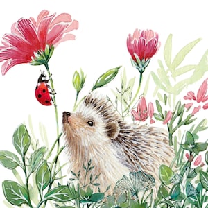 Tirage d'art, carte naturaliste hérisson et coccinelle, tirage d'art sur papier aquarelle de haute qualité