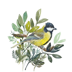 Stampa artistica ad acquerello, cinciallegra, poster di uccelli, decorazione murale, arte naturalistica