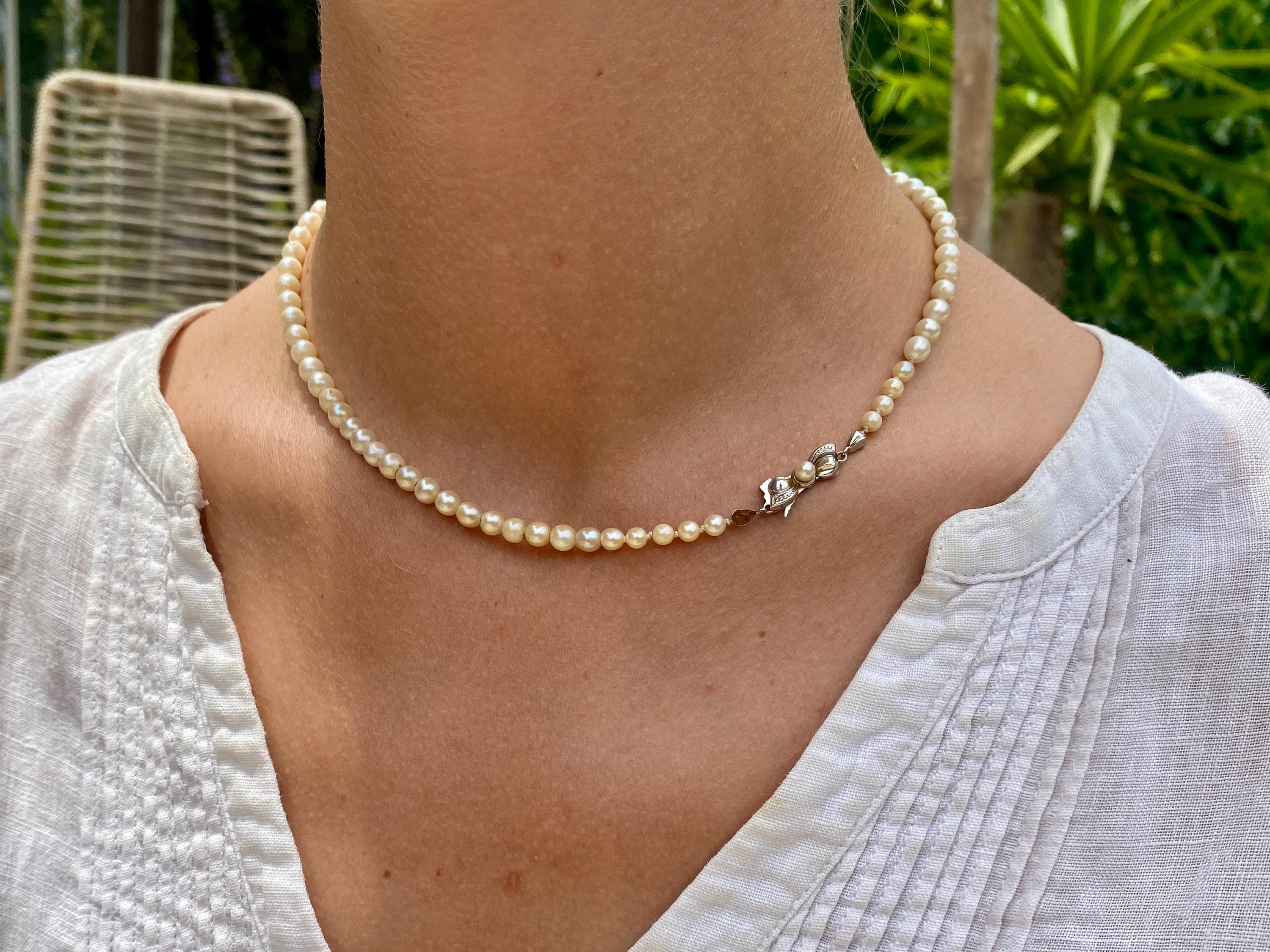 Vivienne Westwood ビスチェ 42 Vivienne Westwood 42 - Etsy