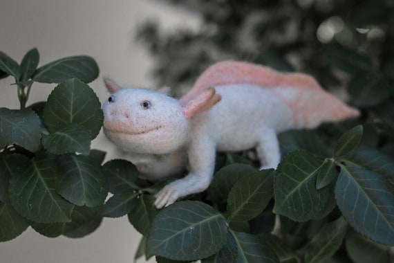 To Order Cute Axolotl Sculpture Figurineneedle Felted Triton Etsy To Order Cute Axolotl Sculpture Figurineneedle Felted Triton Etsy