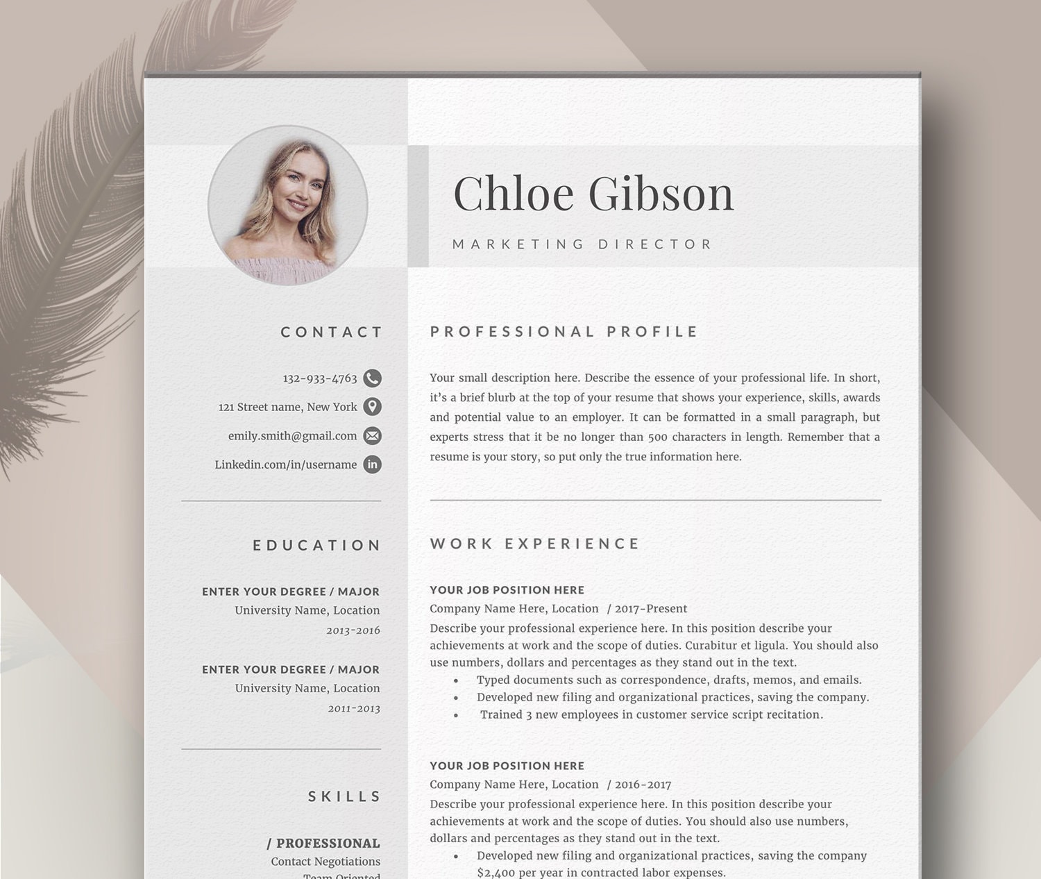 Modele De Cv Professionnel Modele De Cv Propre Et Moderne Etsy Canada