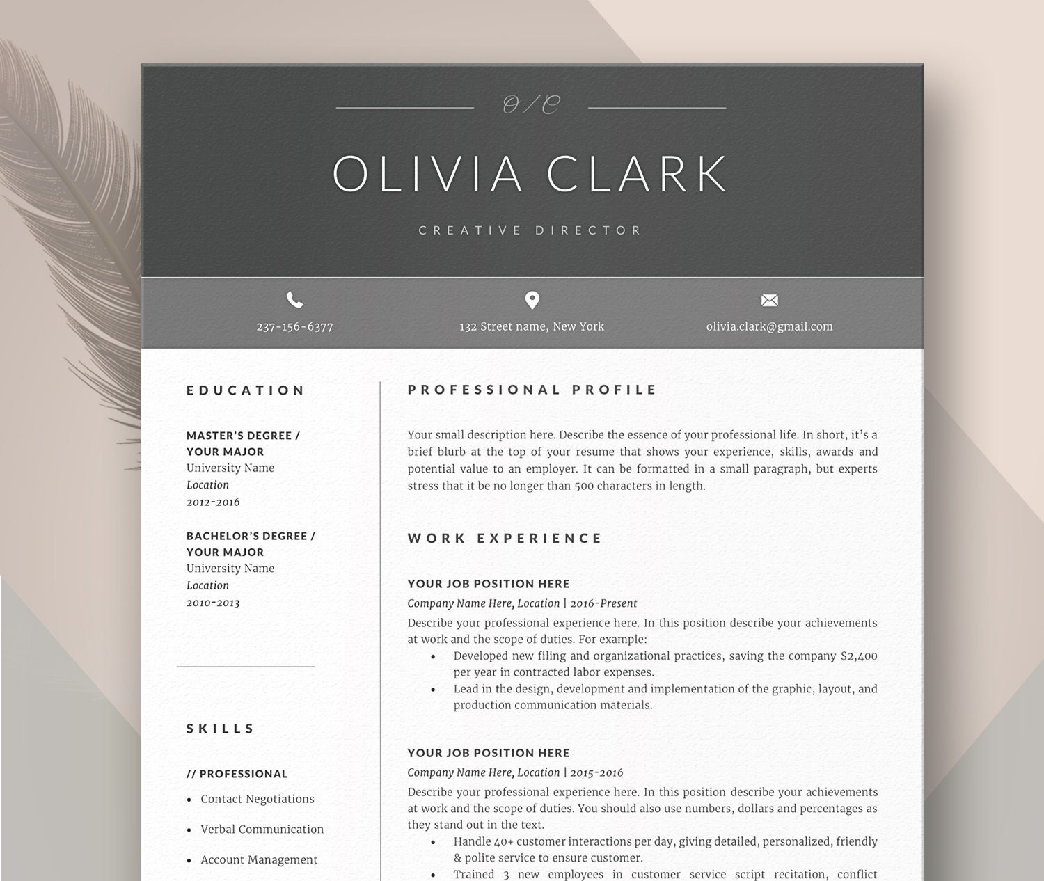 feminine modern cv template word free download feminine modern cv template word free download