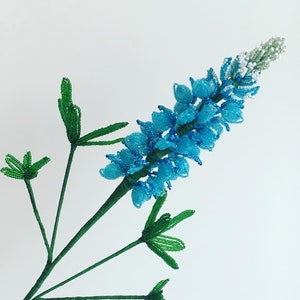 Dziki kwiat Teksasu, kwiat Bluebonnet, francuskie koralikowe kwiaty łubinu
