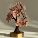 see more listings in the Cherry blossom tree section