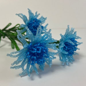 Flor de cuentas azul aciano francesa Flor de cuentas azul francesa de Ucrania