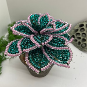 Emerald green succulent gift arrangement Succulent lover gift