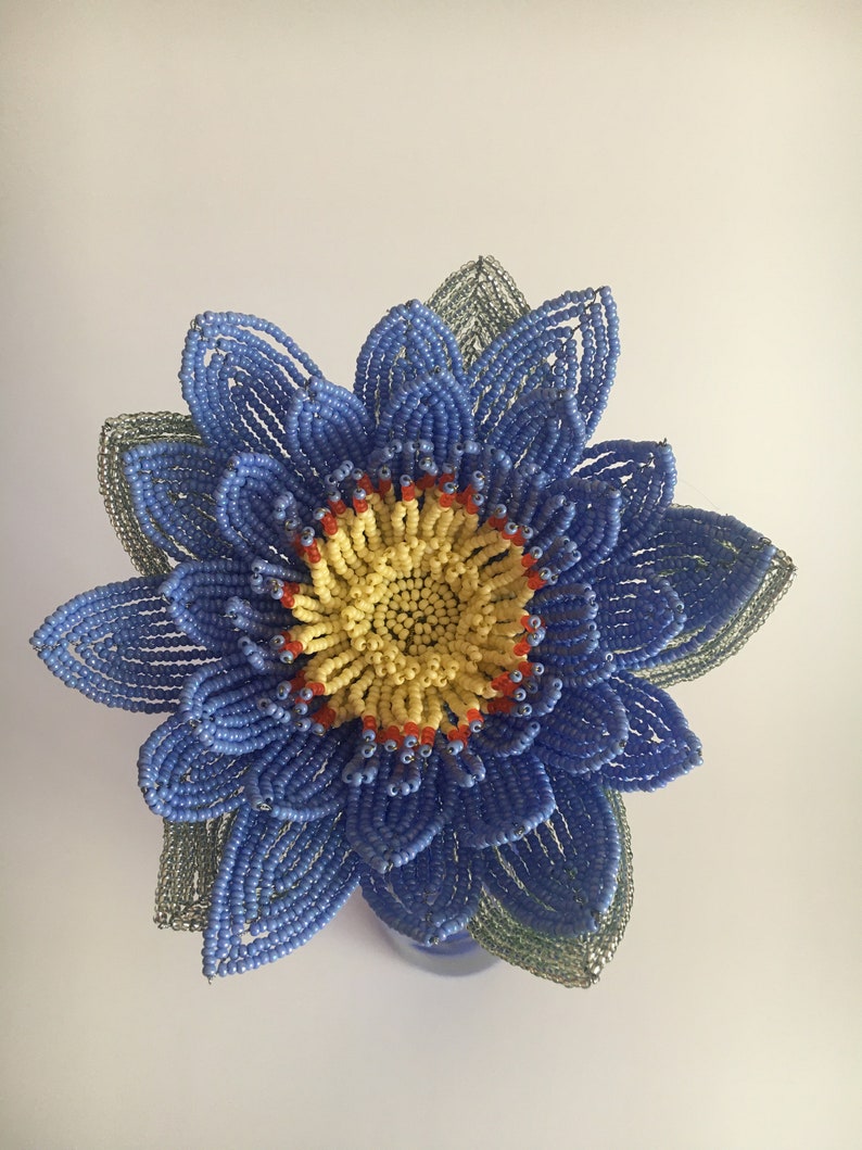 July Birth Month Flower Blue Lotus Egyptian Water Lily Etsy Australia