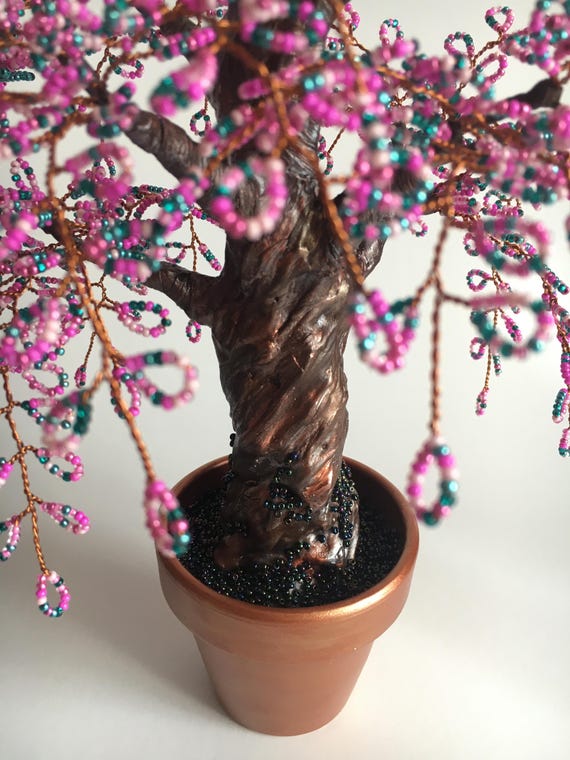 bonsai tree store near me Japanese Maple Bonsai Tree 25JM56 – Bella Bonsai Nursery main image 1