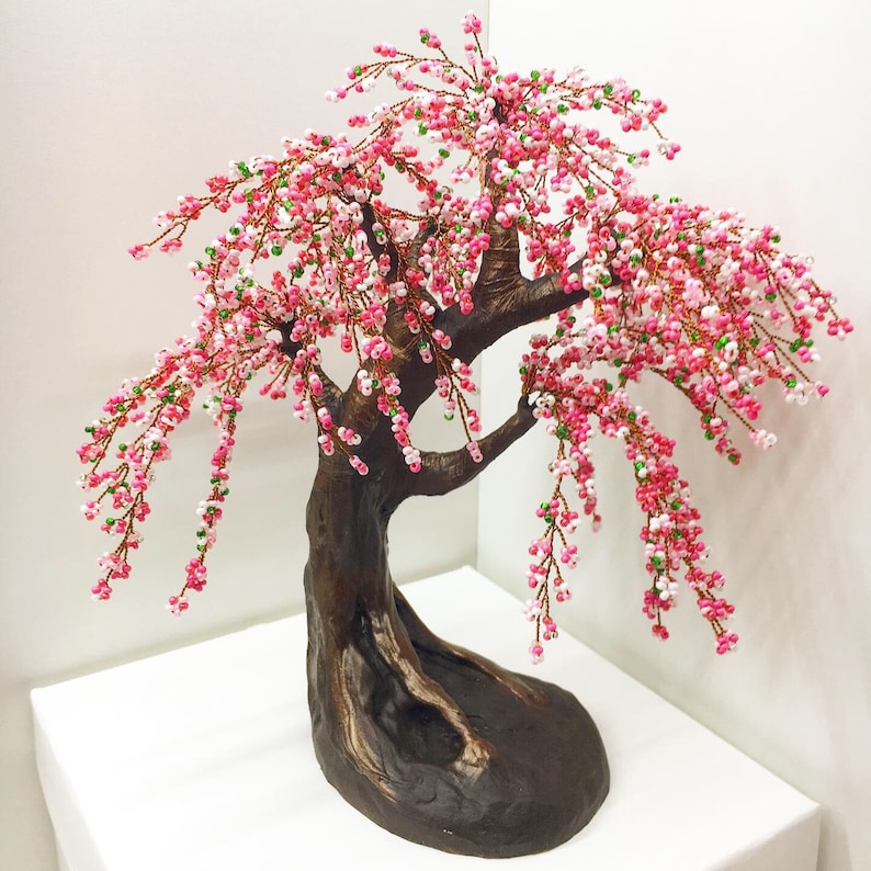 Cherry Blossom Bonsai Tree Live Etsy