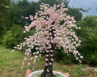 手作りワイヤー盆栽、桜盆栽、生きた桜ビーズの木、ピンクのワイヤー