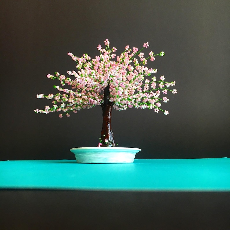Cherry Blossom Bonsai Tree Live Handmade Gift Office Sakura Etsy