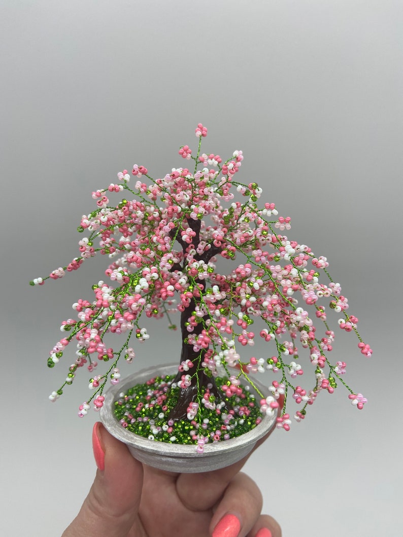 Cherry Blossom Bonsai Tree Sakura Bonsai Tree Etsy