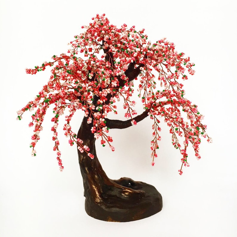 Cherry Blossom Bonsai Tree Live Etsy