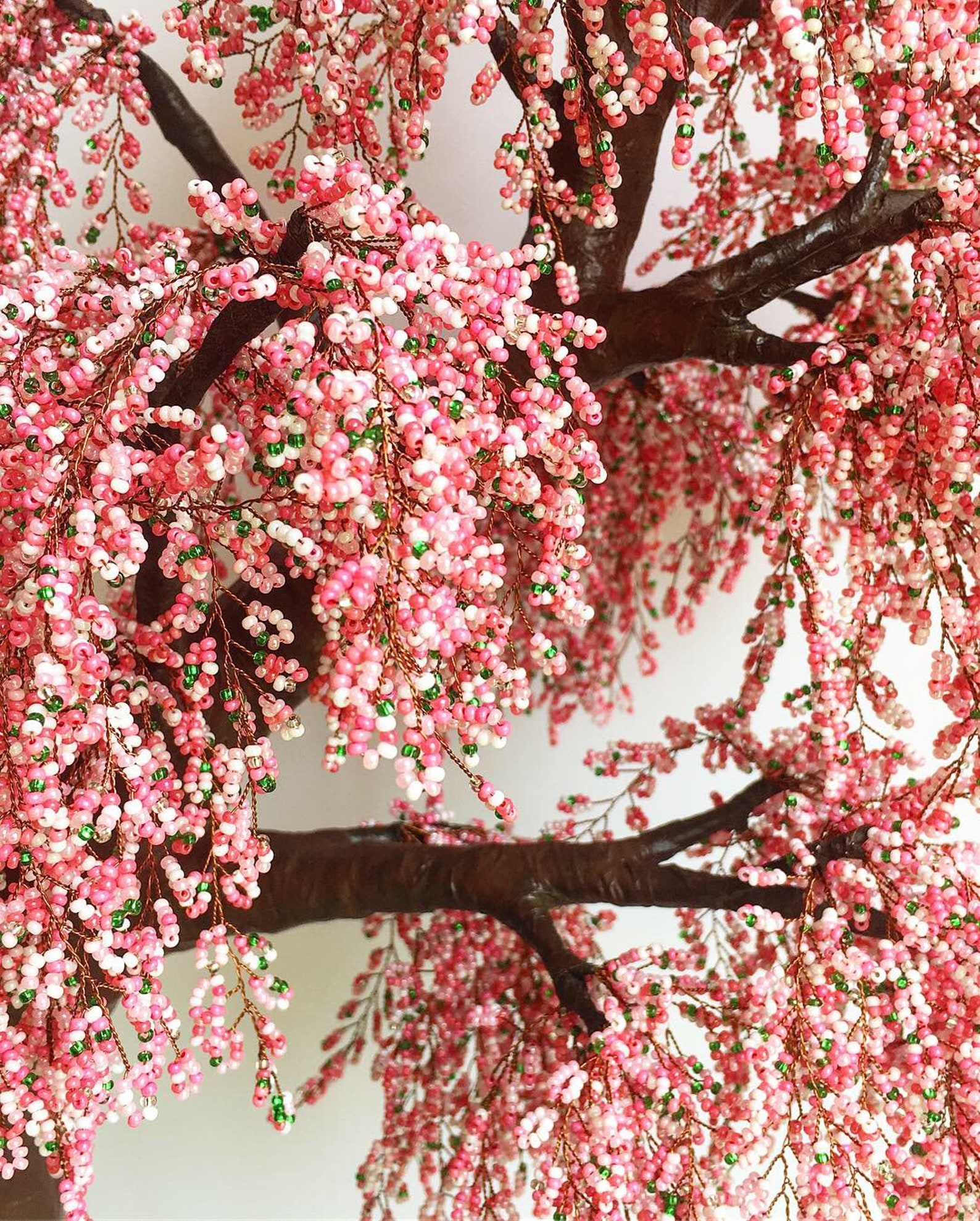 Large Cherry Blossom Bonsai Tree Live Bonsai Tree Tree of Life Etsy