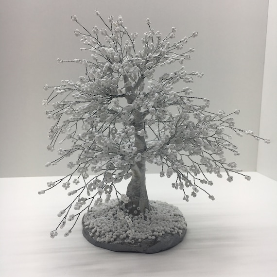 sequoia bonsai tree Bonsai Special main image 1