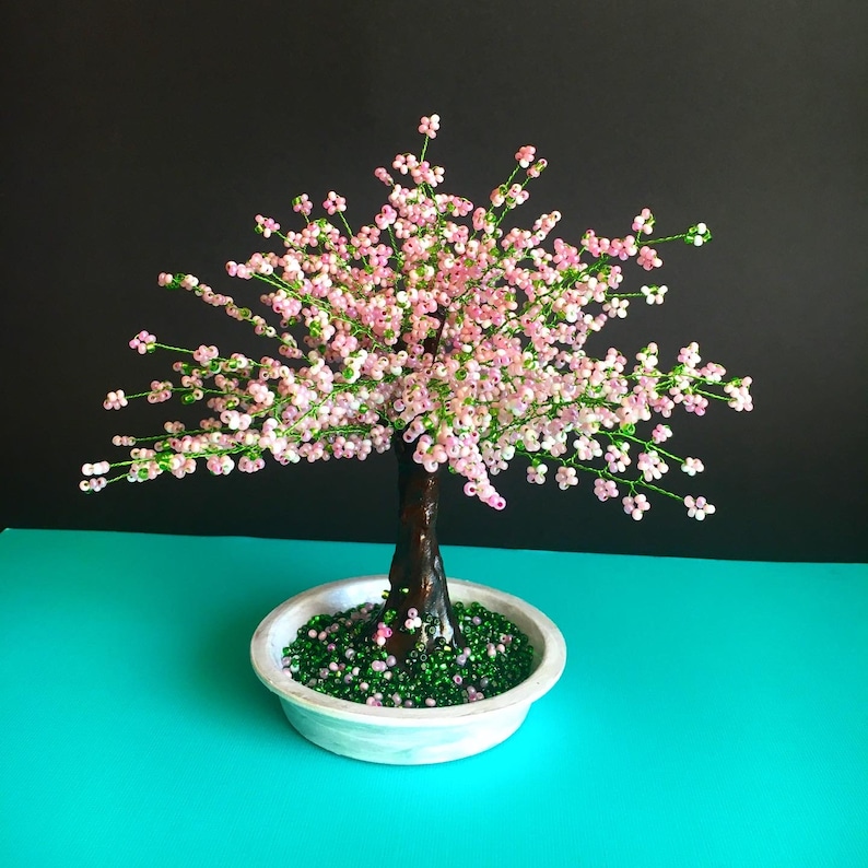 Cherry Blossom Bonsai Tree Live Handmade Gift Office Sakura Etsy
